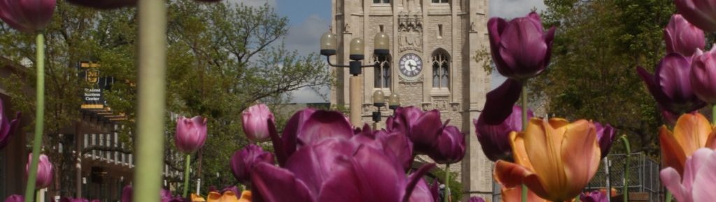 Flowers and Memorial Union