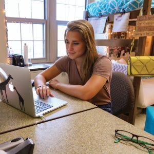 A student works on a laptop at a desk.