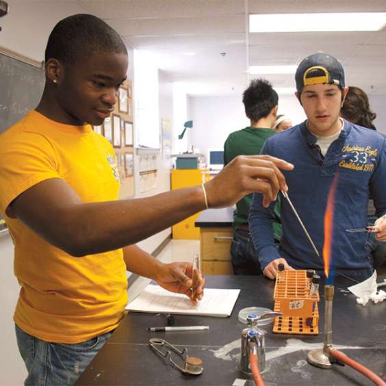 Students in lab